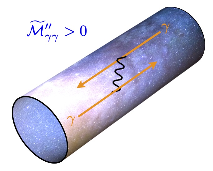 Black holes and the Weak Gravity Conjecture
