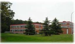 Scientific Activities