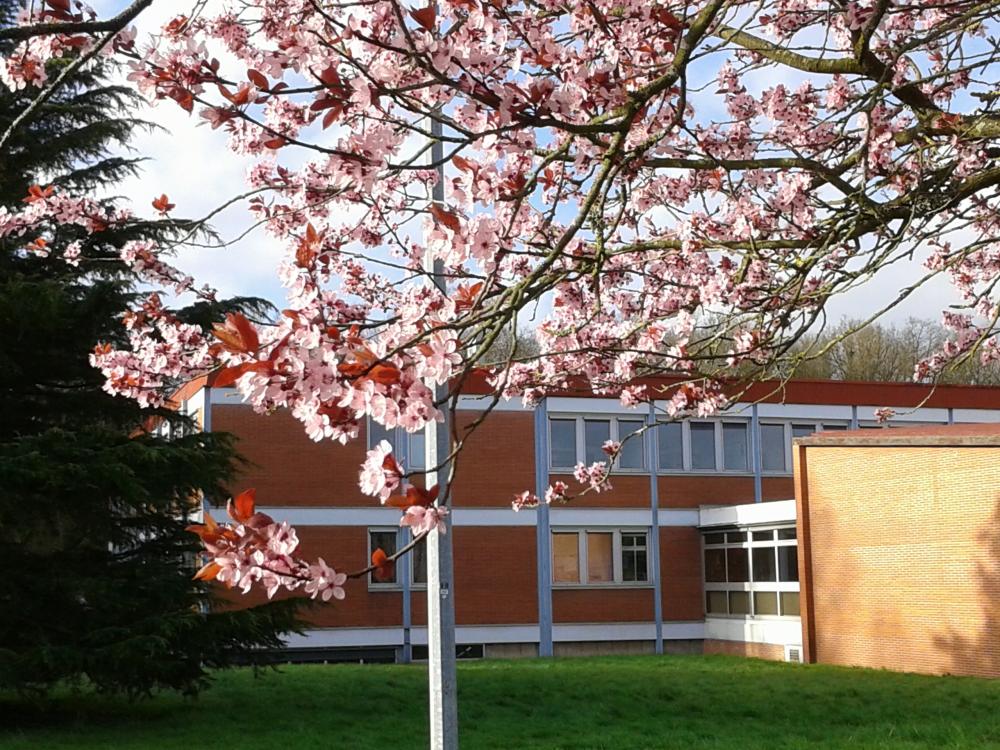 Accueil des visiteurs